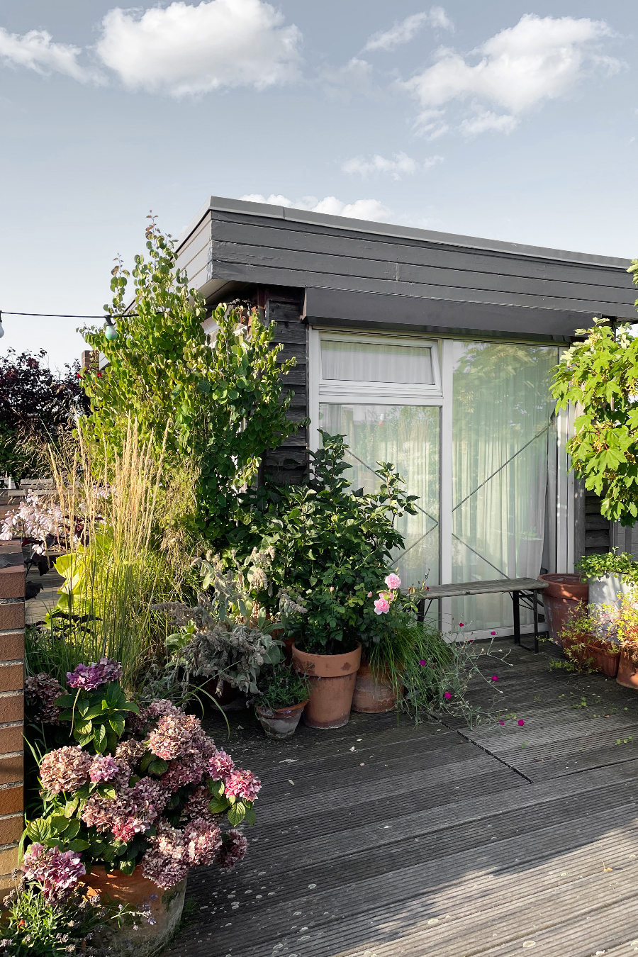 n-vier, attic conversion Berlin-Friedrichshain, roof terrace, roof garden, extension, timber construction
